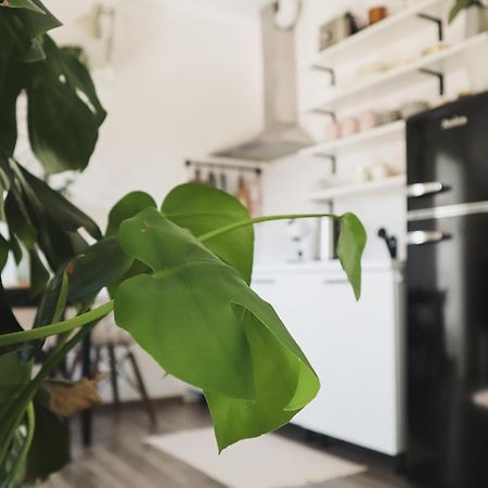 Urban Jungle Apartment - Free Parking ลูบลิยานา ภายนอก รูปภาพ