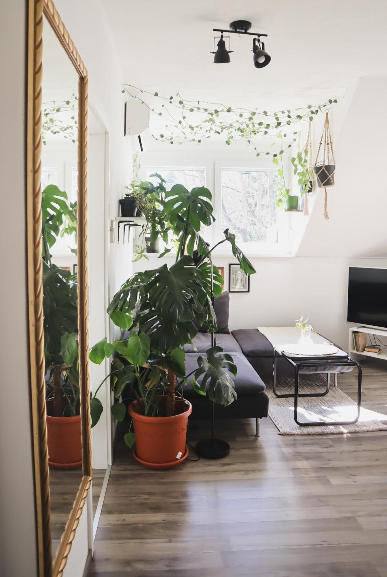 Urban Jungle Apartment - Free Parking ลูบลิยานา ภายนอก รูปภาพ