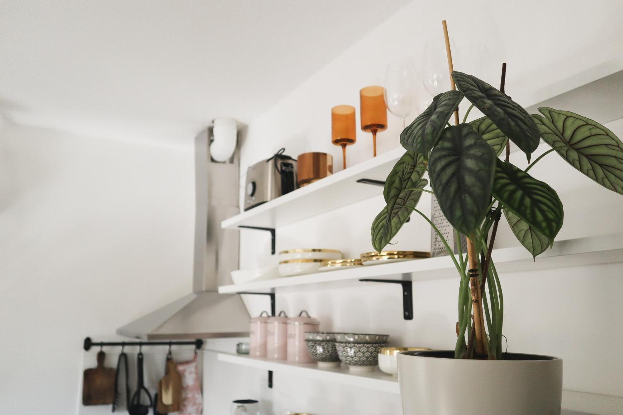 Urban Jungle Apartment - Free Parking ลูบลิยานา ภายนอก รูปภาพ