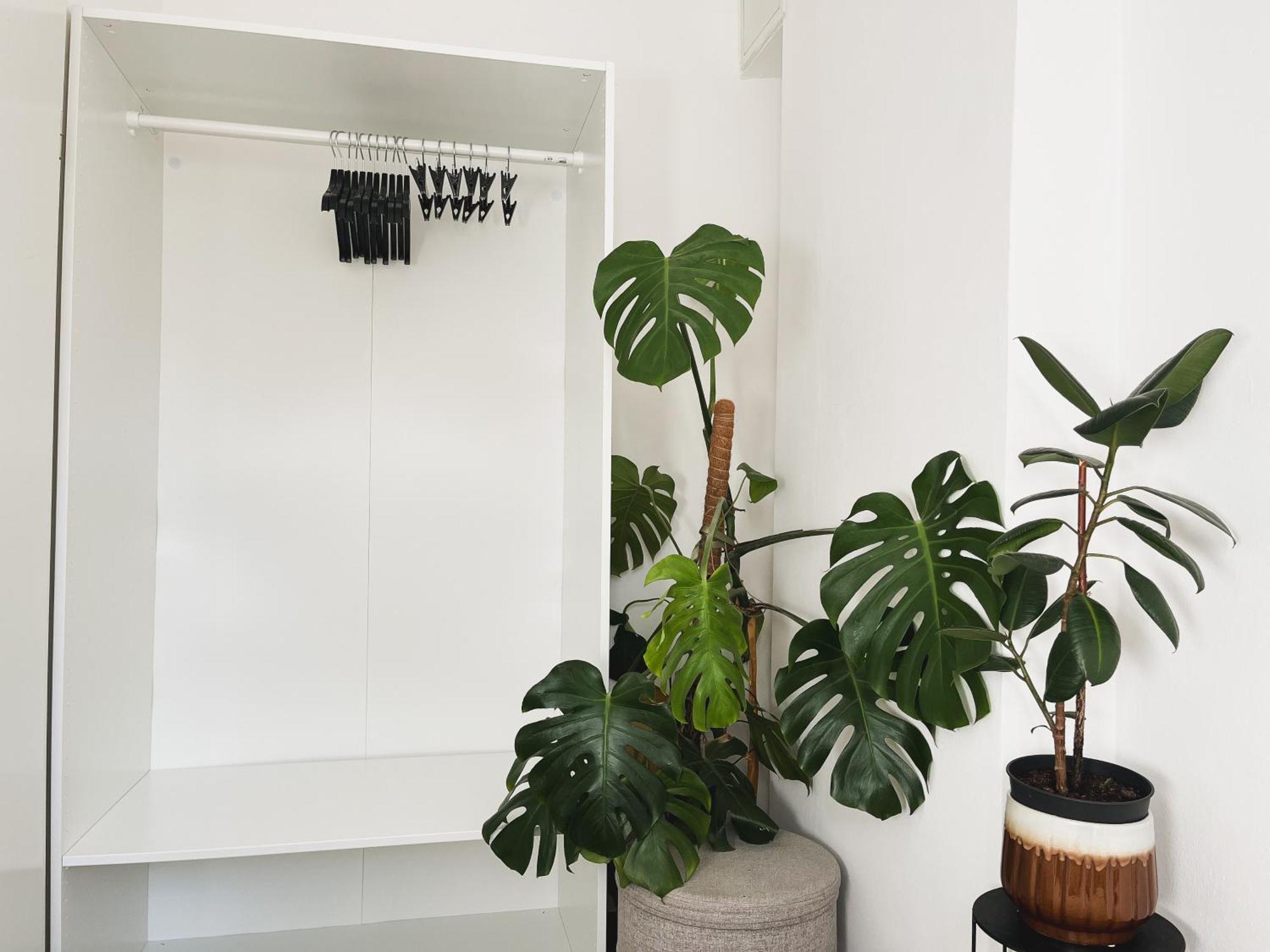 Urban Jungle Apartment - Free Parking ลูบลิยานา ภายนอก รูปภาพ